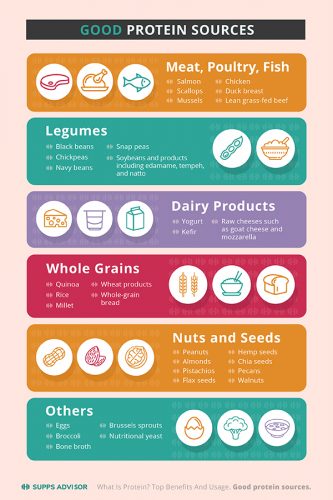 12 Benefits Of Protein You Should Know About